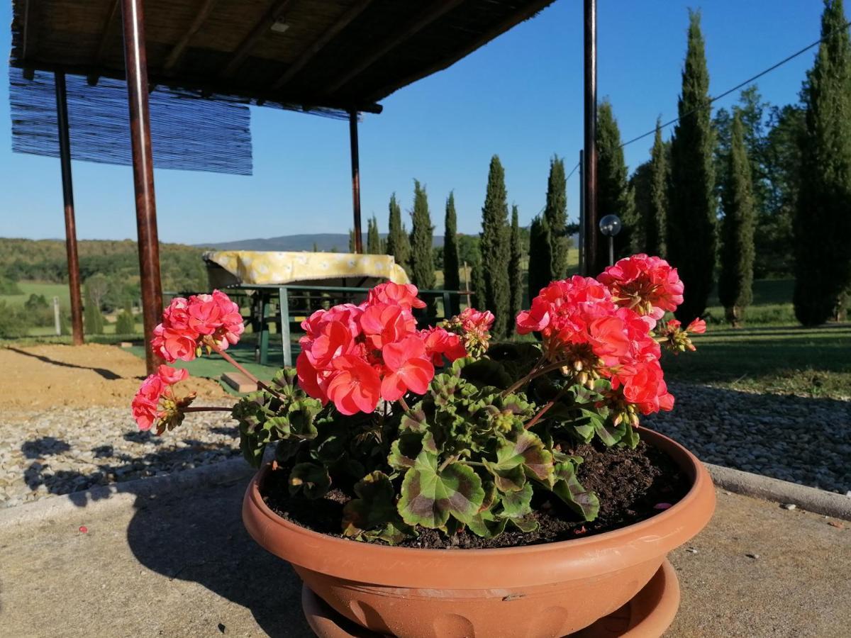 San Fedele Alloggi Siena Kültér fotó