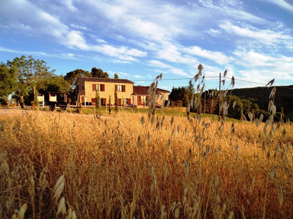 San Fedele Alloggi Siena Kültér fotó